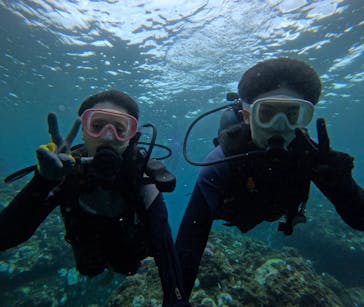 武藤潜水に投稿された画像（2024/9/28）