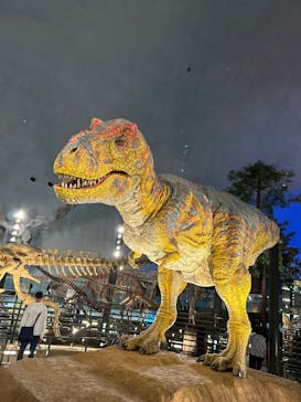 福井県立恐竜博物館に投稿された画像（2024/9/28）