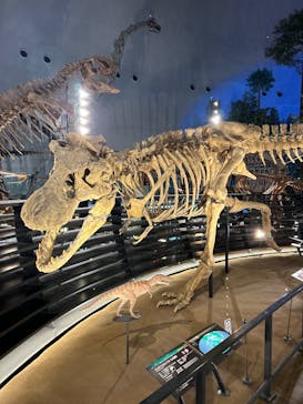 福井県立恐竜博物館に投稿された画像（2024/9/28）