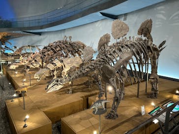福井県立恐竜博物館に投稿された画像（2024/9/28）