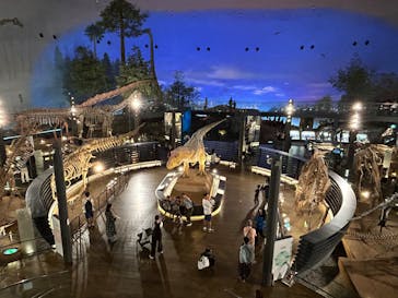 福井県立恐竜博物館に投稿された画像（2024/9/28）