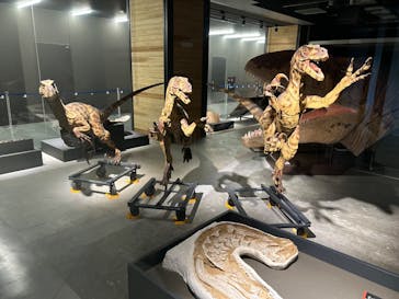 福井県立恐竜博物館に投稿された画像（2024/9/28）