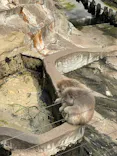 恩賜上野動物園に投稿された画像（2024/9/28）
