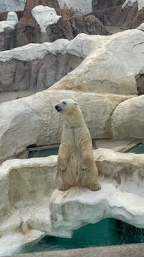 恩賜上野動物園に投稿された画像（2024/9/28）