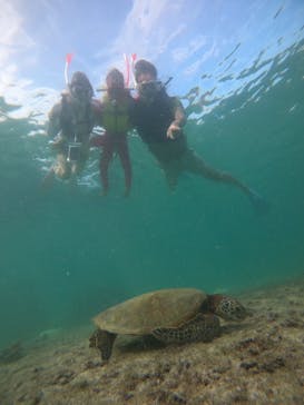 nico 宮古島に投稿された画像（2024/9/28）