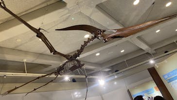 岐阜県博物館に投稿された画像（2024/9/28）