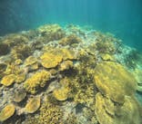 マリンクラブジジに投稿された画像（2024/9/28）