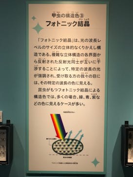 特別展「昆虫 MANIAC」（国立科学博物館）に投稿された画像（2024/9/28）