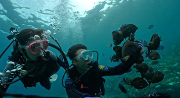 武藤潜水に投稿された画像（2024/9/28）