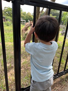 到津の森公園に投稿された画像（2024/9/28）