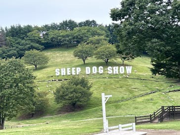 伊香保グリーン牧場に投稿された画像（2024/9/28）