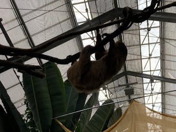 神戸どうぶつ王国に投稿された画像（2024/9/28）