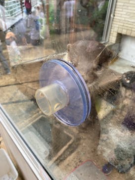 下田海中水族館に投稿された画像（2024/9/28）