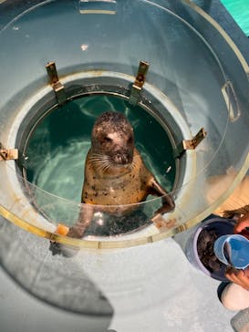 下田海中水族館に投稿された画像（2024/9/28）