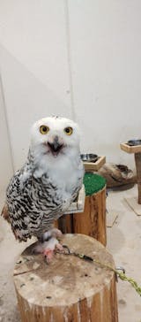 アニタッチみなとみらいに投稿された画像（2024/9/28）