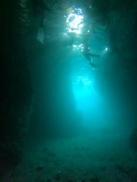 武藤潜水に投稿された画像（2024/9/28）