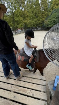 神戸市立六甲山牧場に投稿された画像（2024/9/28）