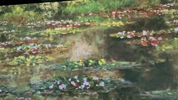 モネ＆フレンズ・アライブに投稿された画像（2024/9/28）