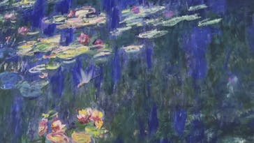 モネ＆フレンズ・アライブに投稿された画像（2024/9/28）