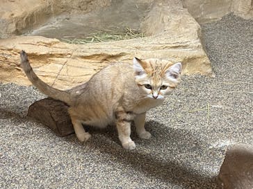 那須どうぶつ王国に投稿された画像（2024/9/28）