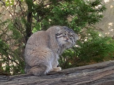 那須どうぶつ王国に投稿された画像（2024/9/28）