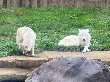 那須どうぶつ王国に投稿された画像（2024/9/28）