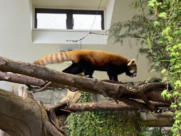 那須どうぶつ王国に投稿された画像（2024/9/28）