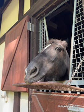 ノーザンホースパークに投稿された画像（2024/9/28）