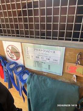 ノーザンホースパークに投稿された画像（2024/9/28）