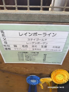 ノーザンホースパークに投稿された画像（2024/9/28）