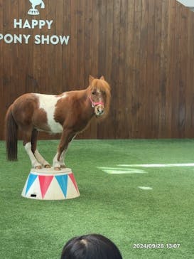 ノーザンホースパークに投稿された画像（2024/9/28）