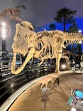 福井県立恐竜博物館に投稿された画像（2024/9/28）