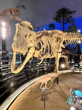 福井県立恐竜博物館に投稿された画像（2024/9/28）