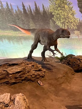 福井県立恐竜博物館に投稿された画像（2024/9/28）