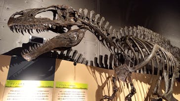 福井県立恐竜博物館に投稿された画像（2024/9/28）