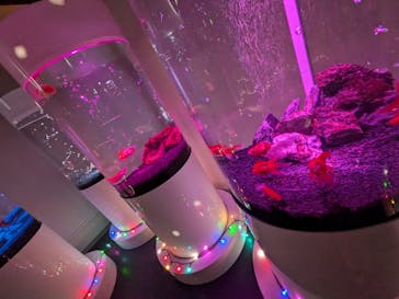 NARA KINGYO MUSEUMに投稿された画像（2024/9/28）