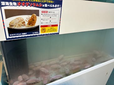 横浜・八景島シーパラダイス　プレジャーランドに投稿された画像（2024/9/28）