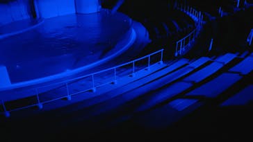 新江ノ島水族館に投稿された画像（2024/9/28）