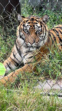 名古屋市東山動植物園に投稿された画像（2024/9/28）