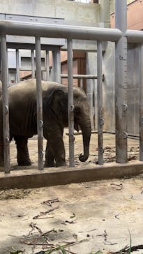 名古屋市東山動植物園に投稿された画像（2024/9/28）