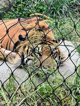 名古屋市東山動植物園に投稿された画像（2024/9/28）
