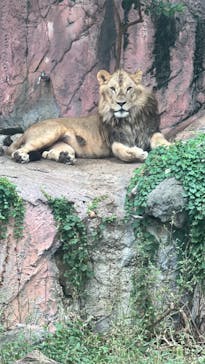 名古屋市東山動植物園に投稿された画像（2024/9/28）