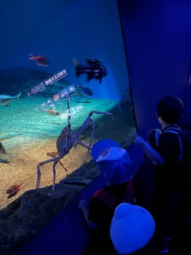 アクアワールド茨城県大洗水族館に投稿された画像（2024/9/28）