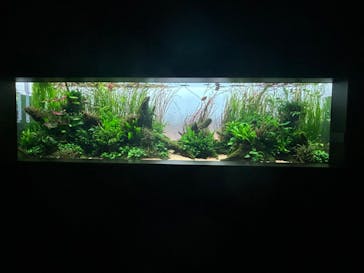 AOAO SAPPOROに投稿された画像（2024/9/28）