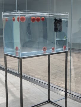 金沢21世紀美術館に投稿された画像（2024/9/28）