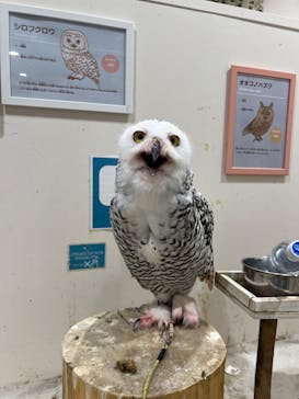 アニタッチみなとみらいに投稿された画像（2024/9/28）