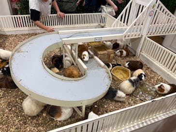 アニタッチみなとみらいに投稿された画像（2024/9/28）