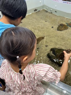 アクアワールド茨城県大洗水族館に投稿された画像（2024/9/28）