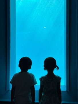 鴨川シーワールドに投稿された画像（2024/9/28）