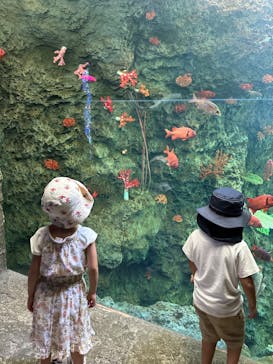 鴨川シーワールドに投稿された画像（2024/9/28）